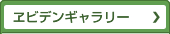 ヱビデンギャラリー